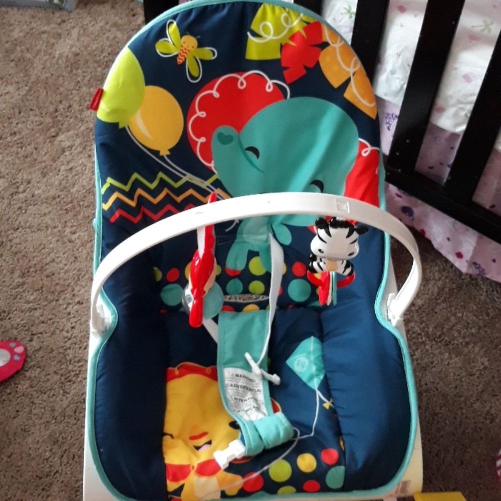 Fisher price infant to toddler rocker